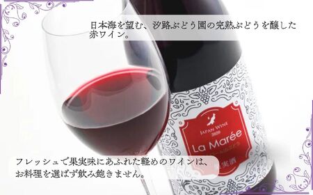 果実味あふれる赤ワイン ラ・マリー2021 750ml  2本 ブドウ 赤ワイン 新潟県 糸魚川 あぐりいといがわ 糸魚川農業興舎 汐路ブドウ園 メルロー 山ぶどう ワイン 酒 ライトボディ クリスマス お正月 christmas