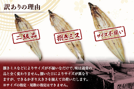 【訳あり】2週間以内発送 うなぎ白焼き 訳あり 不揃い 合計1kg（4～10尾入り）玄人の一品 バラツキ 数量限定 宮崎県産 冷凍 蒲焼タレ付【E224】