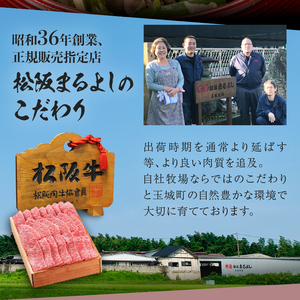 松阪牛牛丼の具4個セット　[松阪牛　牛丼]