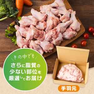 山梨県産＜健味鶏＞手羽元　２kgセット