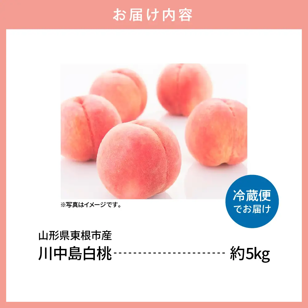 【2026年産】川中島 白桃 5kg 白桃