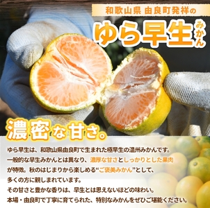 【早生】 ゆら早生 7.5kg ※2026年10月中旬頃～10月下旬頃に順次発送予定【nktn003-r-7d5】