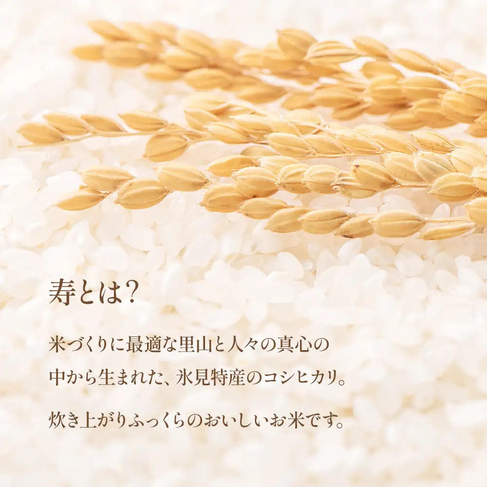 令和7年産 富山県産 コシヒカリ 《寿》 ５kg  富山県 氷見市 こしひかり