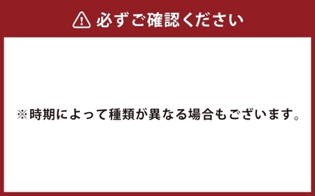 うずまきもなかアイス10個セット ／ 最中 アイス ジャージー牛乳 ジェラート チョコ バニラ 枇杷 イチゴ 抹茶 ラムレーズン クッキークリーム ブルーベリー マンゴー パイナップル シャーベット 冷凍 デザート 長崎