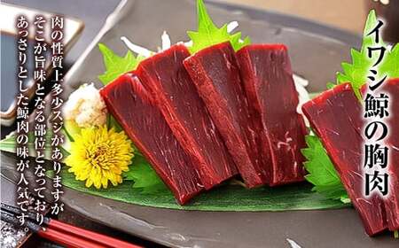 【7営業日以内発送】美味しい鯨 2種 詰め合わせ Aセット (胸肉170g ベーコンスライス100g) ／ 鯨 クジラ 肉 お肉 鯨肉 くじら料理 長崎