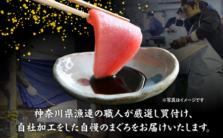 ＜選べる配送月＞神奈川県 漁連 三崎まぐろ 赤身サク 150g×2P M077-010 冷凍 マグロ