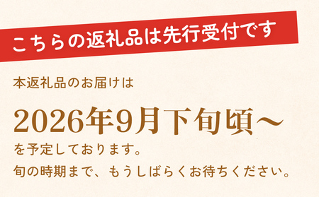 【先行受付】令和8年産 【新高】なかしま農園の 梨 5kg にいたか 梨 旬 果物 フルーツ 先行受付 産地直送