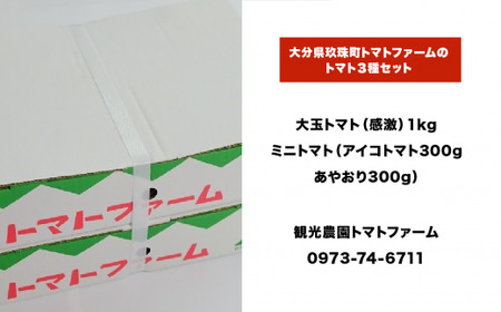 トマト3種セット （観光農園トマトファーム） 大分県 玖珠町 トマト 大玉 ミニトマト アイコ あやおり 高原 栽培 農園 もぎ取り 甘い 美味 トマトファーム 安心 安全 観光 観光農園 春 冬