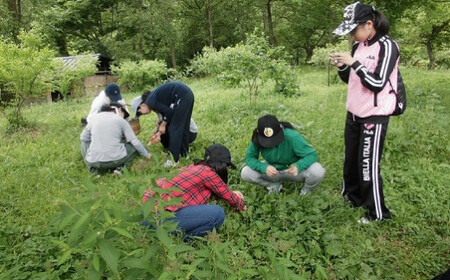 大分県さかもと村ペア１泊２日&食べられる野草摘み体験 大分県 さかもと村 ペア １泊２日 体験 宿泊 夕食 朝食 古民家 野草摘み 野草 天ぷら 自家製野菜 創作料理 シェフ 特製 料理 非日常 抹茶塩 試食 食べられる 野草体験 朝食後 古民家宿泊 田舎体験 食体験