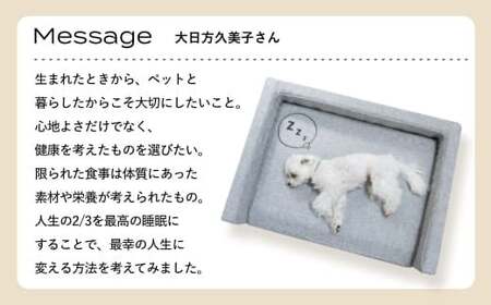 NOMIN ペットベッド 大日方久美子コラボ ブラウン/ ペット用品 犬 猫 体圧分散 丸洗い可能 シニア 防臭 おしゃれ 通気性 ペット 日用品 ブレインスリープ