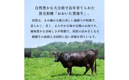 おおいた豊後牛 黒毛和種 ロース しゃぶしゃぶ用 1kg おおいた豊後牛 牛肉 和牛 黒毛和牛 ロース しゃぶしゃぶ用 大分 肉 霜降り 美味 柔らかい 甘い まろやか 風味 血統 育てられた 天皇賞 農林水産大臣賞 内閣総理大臣賞 受賞