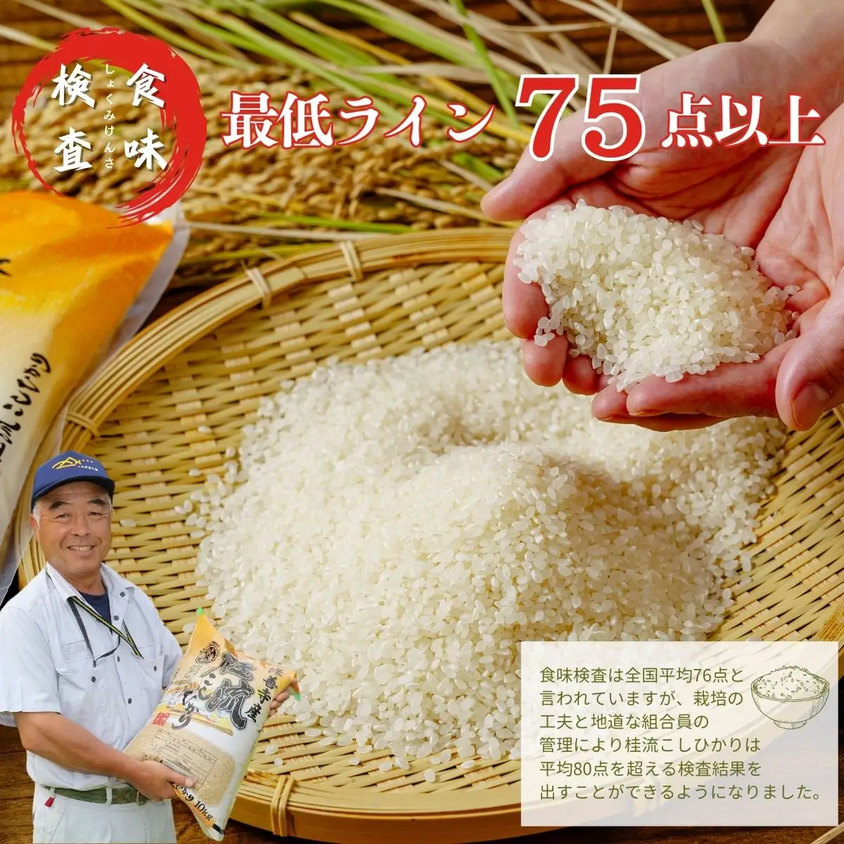 米 桂流 こしひかり 米 （ 数量限定 100 セット）米 特別栽培米 米 ５㎏  015-013