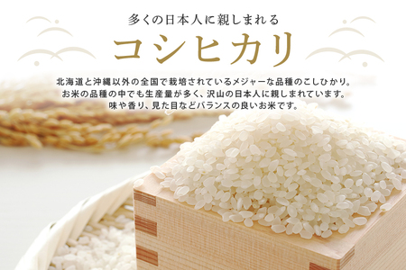 常陸大宮産 コシヒカリ 10kg(5kg×2) こしひかり ブランド米 茨城 【コシヒカリ】【ho1397】