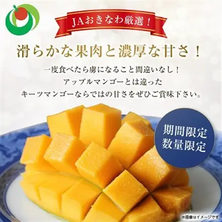 【2026年8月中旬から順次発送・贈答用】幻のキーツマンゴー約2kg(2玉～3玉)【配送不可地域：離島】【1546414】