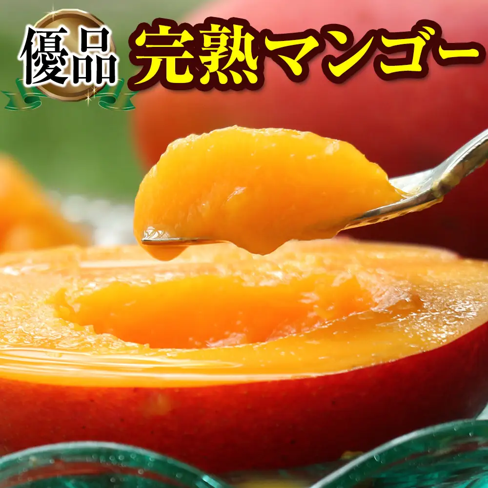 【2026年発送】「優品」丹精込めた完熟マンゴー1kg　2玉～3玉