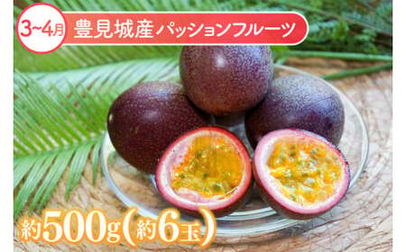 【全6回】人気！沖縄フルーツ定期便 (AC020)