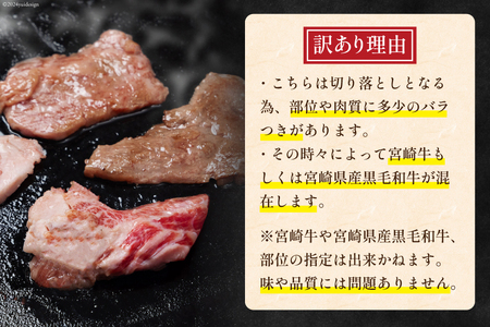 和牛 訳あり 宮崎県産 黒毛和牛 切り落とし 500g [452061559] 和牛