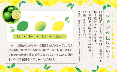 レモン 国産 マイヤーレモン 約3kg 15～20玉 【2025年9月下旬～2026年6月中旬発送】