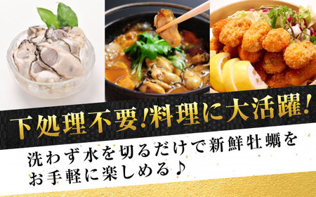 生牡蠣むき身瓶入600g 牡蠣[XBP006]