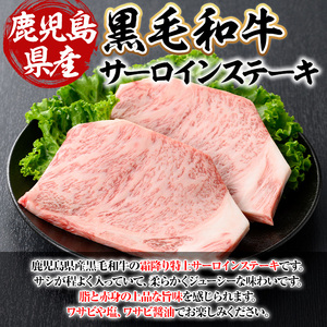 鹿児島県産 A5等級以上 黒毛和牛 霜降り 特上 サーロイン ステーキ 計400g(200g×2枚) 牛【ビーフ倉薗】B172