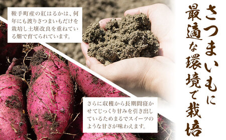 ★2026年12月から出荷★厳選 紅はるか 3kg しょうた農園《12月上旬-3月末頃出荷》福岡県 鞍手町 紅はるか さつまいも