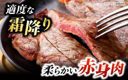 くまもとあか牛 サーロイン ステーキ ブロック肉 約1kg【有限会社スイートサプライなかぞの】[ZBV054]
