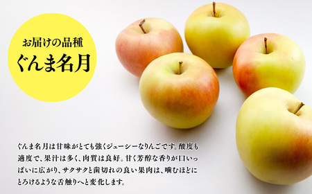 【レビューキャンペーン】１１月発送　訳あり　家庭用　甚八りんごぐんま名月5kg　【マルジンサンアップル】[hi-0058-014]