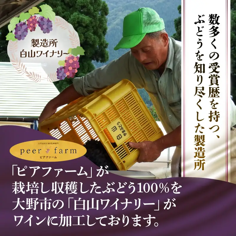 【福井県あわら市産】ふくいワイン【赤】 1本 / ワイン ワイナリー 赤ワイン ライトボディ ぶどう 葡萄 ふくいワイン ブランド フルーティー なめらか 人気 おすすめ プレゼント 贈り物 福井県 あわら市 [aw023-a003]