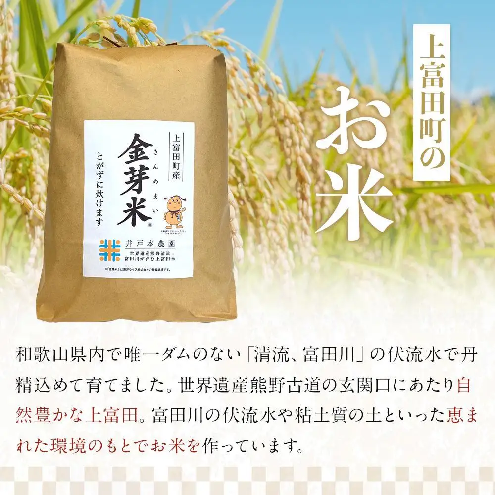 令和7年産  上富田町産 金芽米 きぬむすめ 10kg （ 5kg × 2 ) 井戸本農園