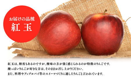【レビューキャンペーン】１０月発送　特選　甚八りんご紅玉３kg　【マルジンサンアップル】[hi-0058-043]