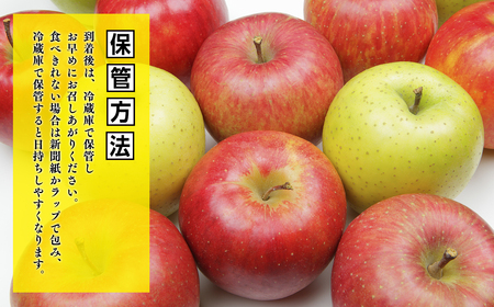 【レビューキャンペーン】５～７月発送　特選　甚八りんごふじ5kg　【マルジンサンアップル　5月　6月　7月　青森県産　平川市　りんご　ふじ　5kg　特選　贈答用】[hi-0058-050]