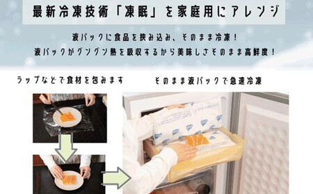 凍眠マジック 家庭用 急速冷凍庫｜高鮮度保持 時短 凍結 冷凍庫 冷凍保存 ALS0001
