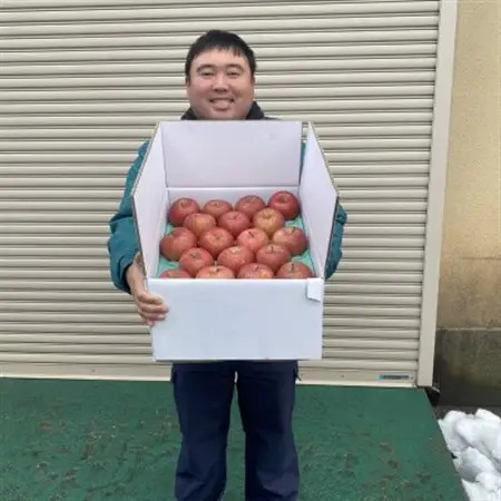 完熟りんご100%のりんごジュース　1L×6本入り_飲料・ドリンク りんごジュース 果汁飲料 林檎ジュース アップルジュース リンゴジュース_【1486721】