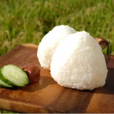 【令和7年産】奈良県産 あきたこまち 精米 10kg ( 5kg×2 )_ 精米 米    あきたこまち 米 アキタコマチ_【1457054】