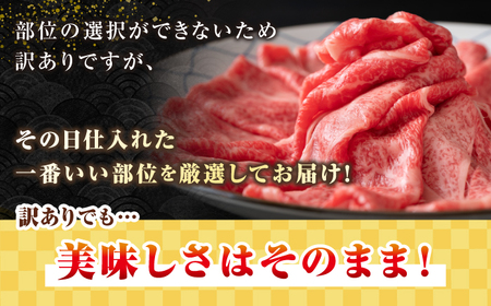 【全2回定期便】【訳あり】【A4～A5ランク】 長崎和牛 しゃぶしゃぶ・すき焼きセット 750g《壱岐市》【株式会社MEAT PLUS】　肉 牛肉 黒毛和牛 鍋 冷凍配送 訳あり 切り落とし しゃぶしゃぶ用 すき焼用 A4 A5 [JGH103]
