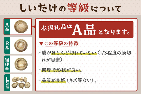 しいたけ A品 6L（約150g）×20パック