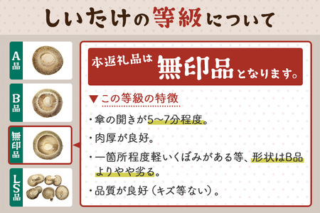 しいたけ 無印品 10S（約100g）×30パック