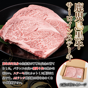 【30963】鹿児島県産黒毛和牛！A5等級サーロインステーキ(計500g・約250g×2枚) 国産 牛肉 肉 冷凍 サーロイン 鹿児島 ステーキ 焼肉 BBQ バーベキュー 【前田畜産たかしや】