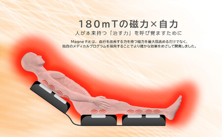 家庭用医療機器マグネフィット（電気磁気治療器）