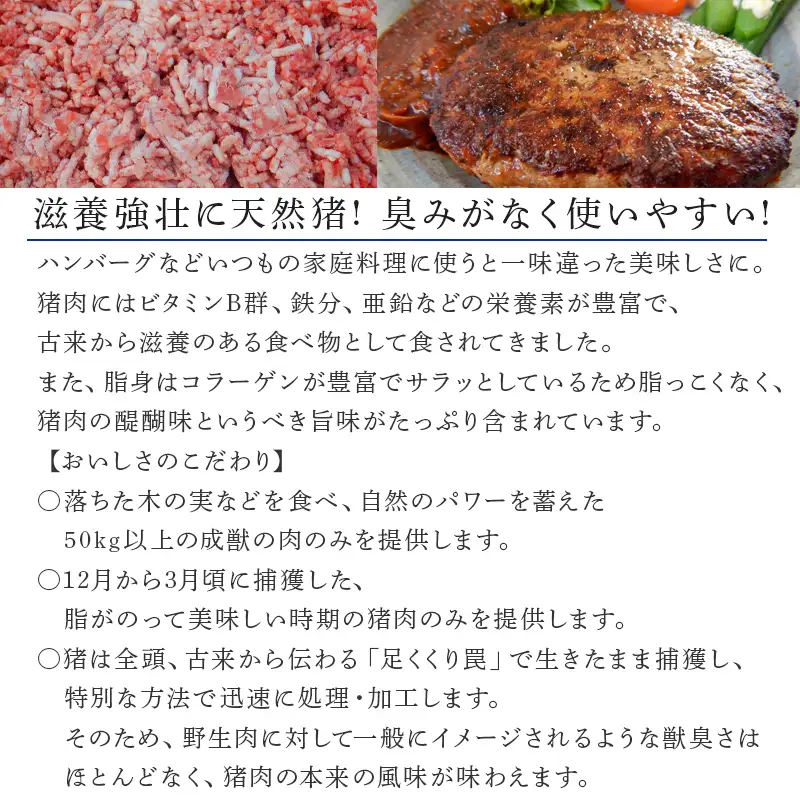 天然いのししひき肉 300g×3パック(合計900g) ハンバーグなど 生肉 冷凍 ジビエ