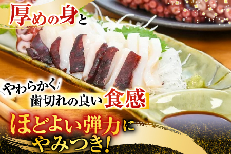 【北海道根室産】ボイル水たこ頭カット2P(計1kg) G-20001