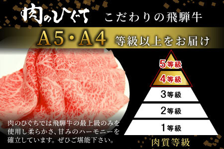 飛騨牛 定期便 全3回 計2.2kg 4人前 すき焼き しゃぶしゃぶ ステーキ 焼肉 BBQ ロース カタロース ロースステーキ サーロインステーキ モモ カタ 贅沢 贈り物 3ヶ月 定期 おすすめ 人気 飛騨 ブランド牛 肉のひぐち