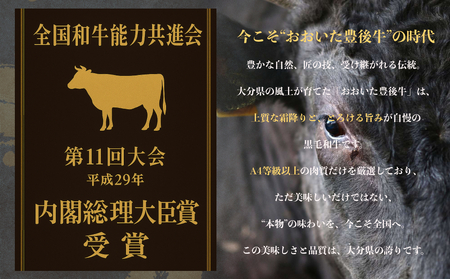 全農おおいた 豊後牛 小間切れ 400g 豊後牛 大分 牛肉 小間切れ こま切れ 黒毛和牛 和牛 牛 丼 しゃぶしゃぶ 炒め物 野菜炒め 料理 国産 焼き肉 すき焼き お肉 スライス 霜降り 薄切り 風味豊か 柔らかい 使いやすい キッチン 快適 家庭料理 要冷凍