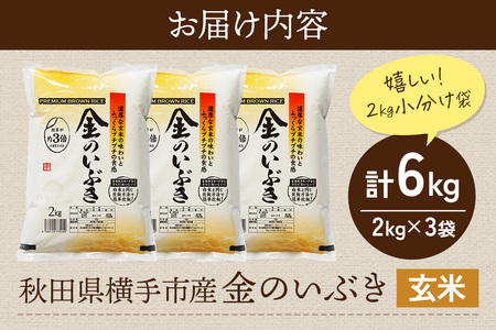 【玄米】令和7年産 金のいぶき 6kg（2kg×3袋）