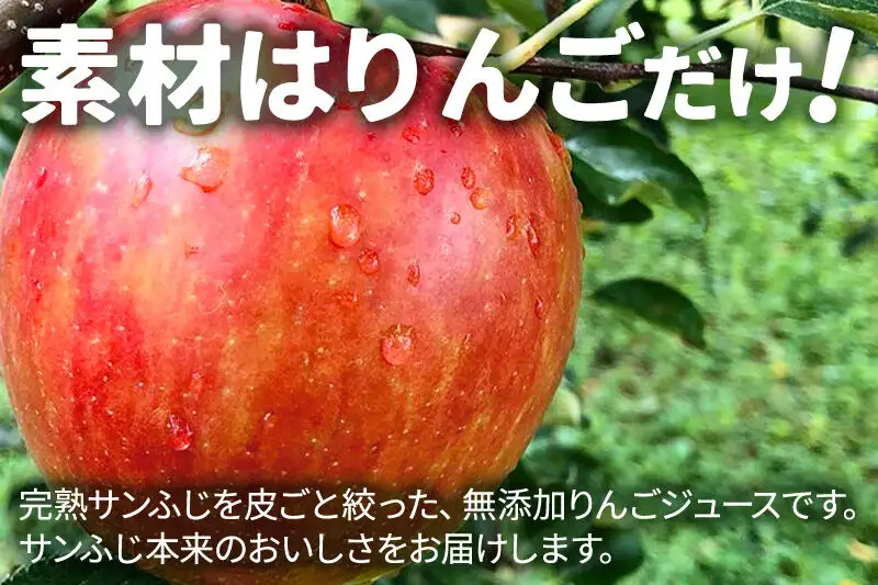 無添加りんごジュース(サンふじ) 10パック×5箱