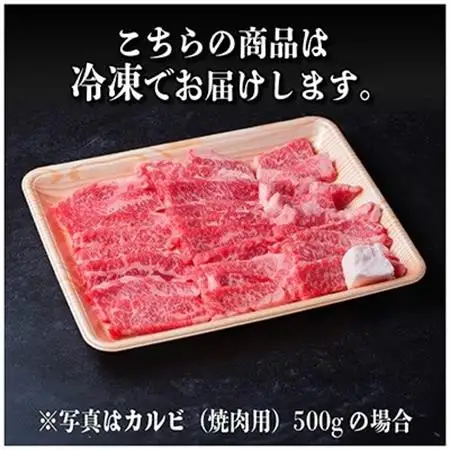 飛騨牛 厳選カルビ(焼肉・BBQ用) 2kg(500g×4)　黒毛和牛　小分け　A4～A5等級_肉 焼肉 牛肉 やきにく ヤキニク バーベキュー  肉 飛騨牛 牛肉 うし ビーフ_【配送不可地域：離島】【1543786】