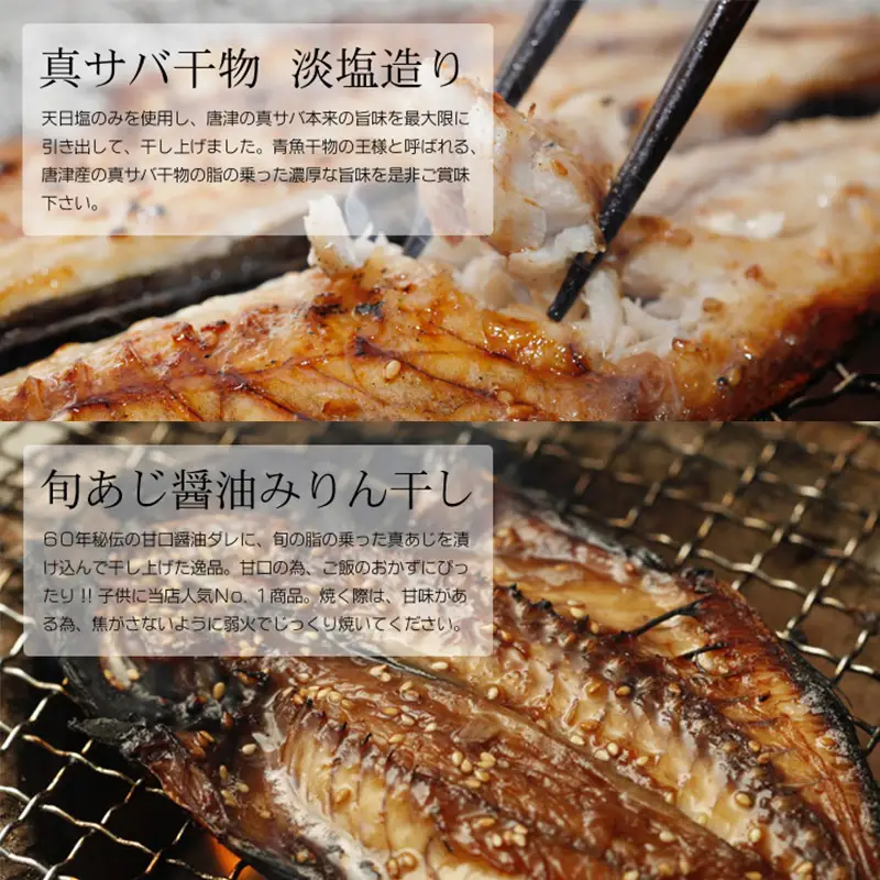 無添加・無着色・手造り 唐津産 『初めての唐津旬の干物5種10尾セット』唐津産真アジ醤油みりん干し、唐津産真サバひもの、唐津産季節の旬の白身魚一夜干し、真イワシ丸干し、トロあじ開き 干物 酒の肴 【ふるなび】