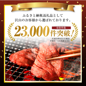 訳あり やわらか厚切り牛タン【塩仕込み】500g ※配送不可：離島・沖縄