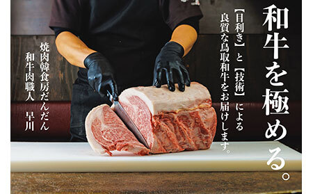 鳥取和牛 A5等級 特選３種盛り（特選カルビ150g、特選ロース150g、厳選リブロース200g）_T2600257