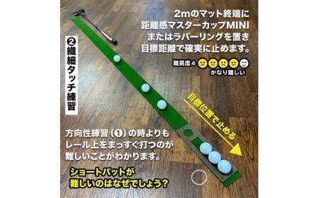 パターマット工房 タッチがわかるパット練習レール 2枚セット(標準・最高速) 7cm×200cm